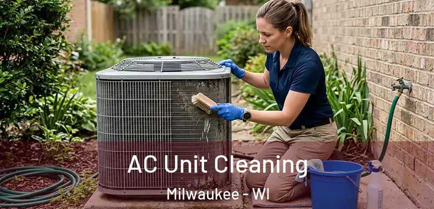  AC Unit Cleaning Milwaukee - WI